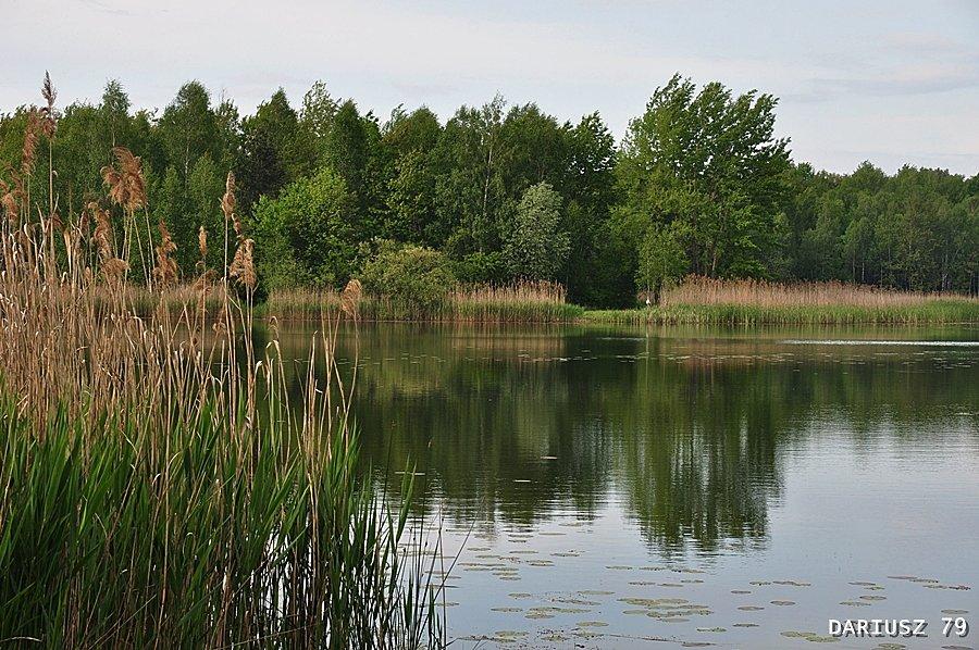 Pogoria 2 - Dąbrowa Górnicza