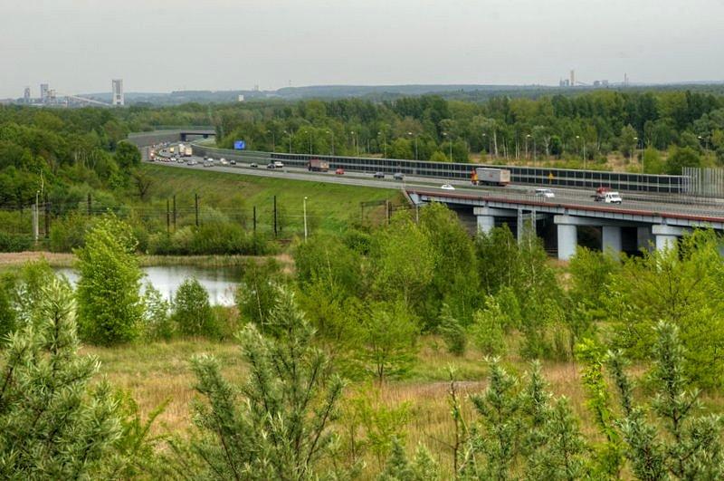 Jeszcze jedna fotka z hałdy na Sośnicy