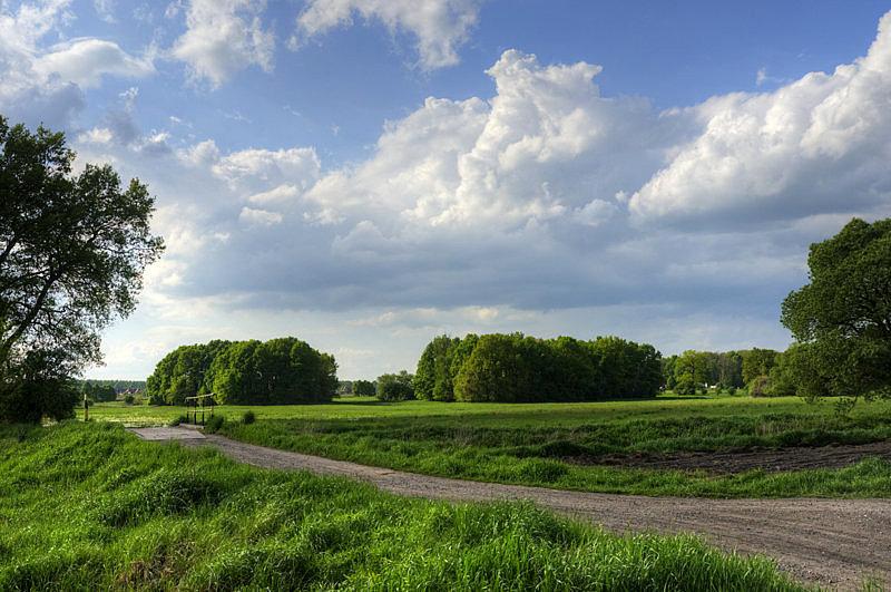 Gdzieś w drodze