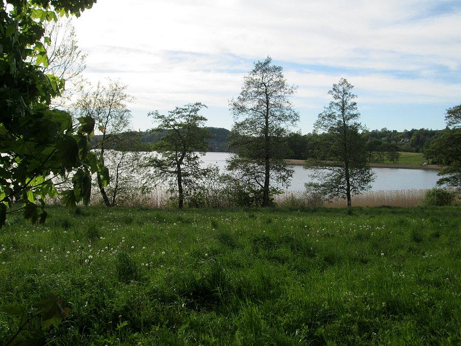 Widok na jezioro