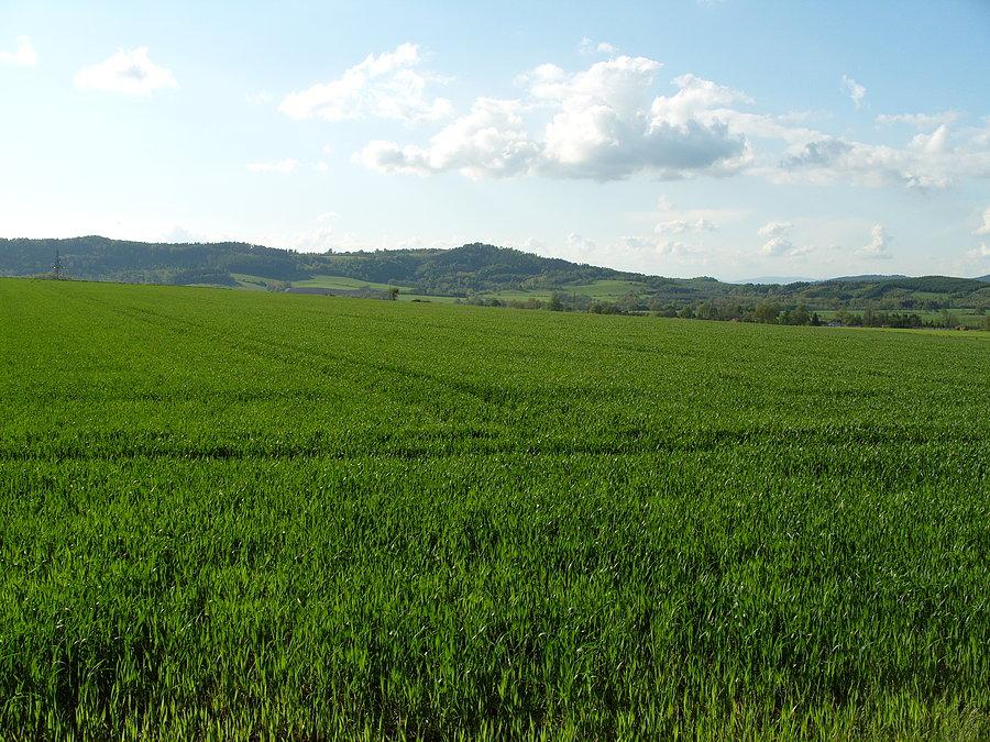 Mała panoramka z widokiem na niewidoczną ;))) jeszcze Skrzynkę