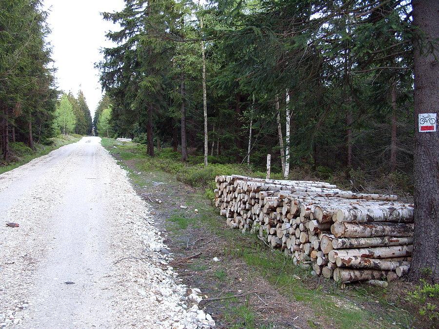 Parę kilometrów dalej po kolegach został tylko ślad na nowo posypanym żwirze, na drodze wieczności. Rozumiem że pojechali szybciej nazbierać drwa na opał w ramach rekompensaty ;)