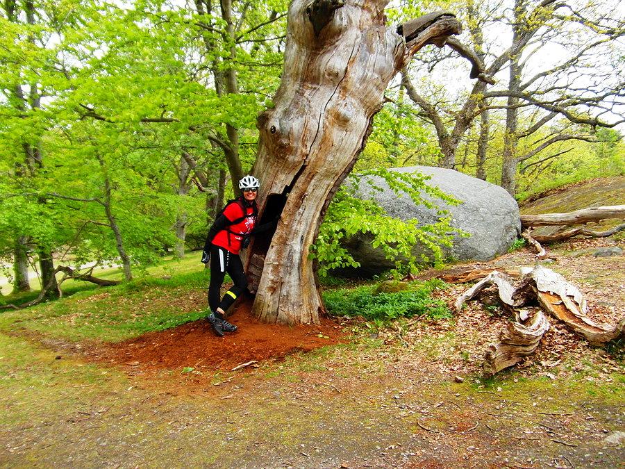 Skansen Vämöparken - Karlskrona