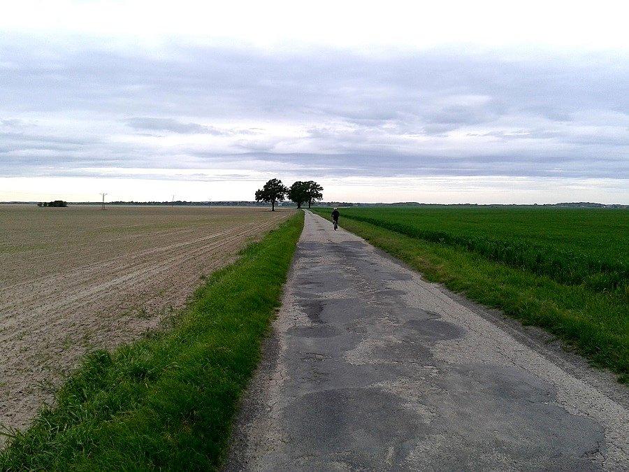Droga Dębica - Koszewo