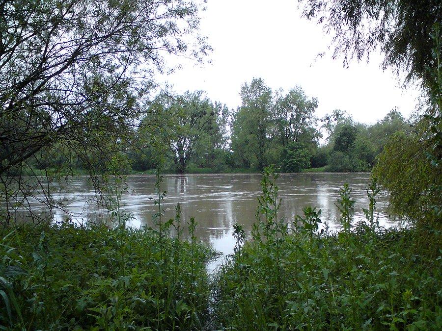 Wezbrana Odra