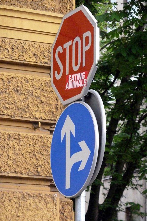 Stop eating animals