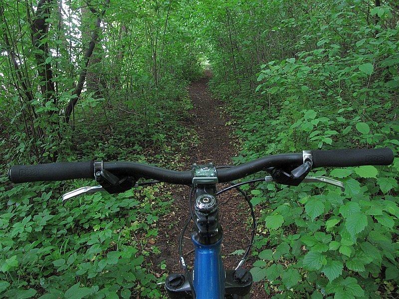 Singletrack przy Jeziorze Wronczyńskim Dużym