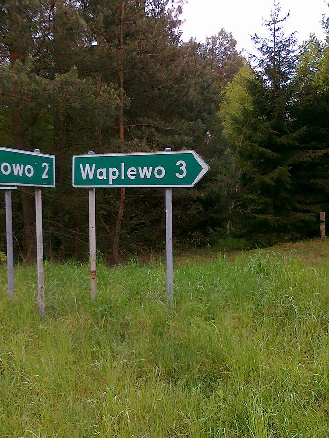 Którą drogę wybrać?