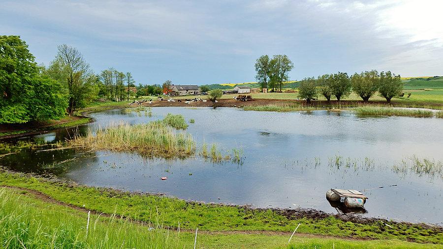 Majówka z Kociewiem - Gniew. W drodze na majówkę. Krajobraz Kociewia