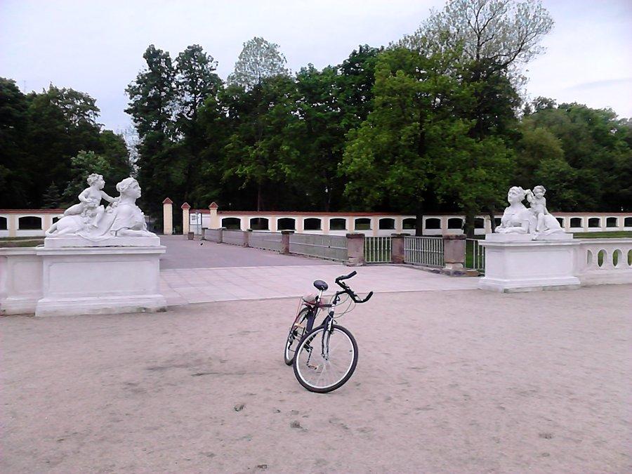 W parku pałacowym