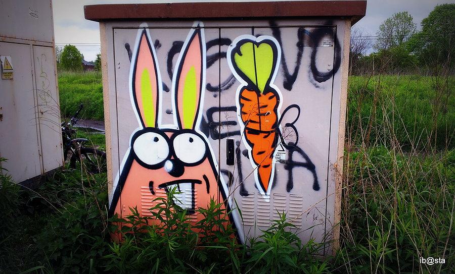 ... a obok marchewkowe pole ;)