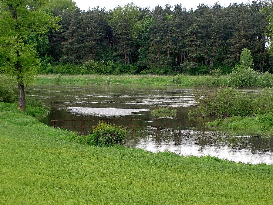 Mostek nad stradunią przy ujściu do odry zalany
