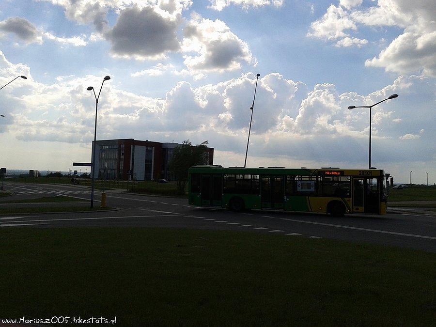 Modrzewina
