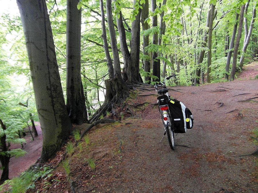 Kierunek Sopot- szlak nadmorski