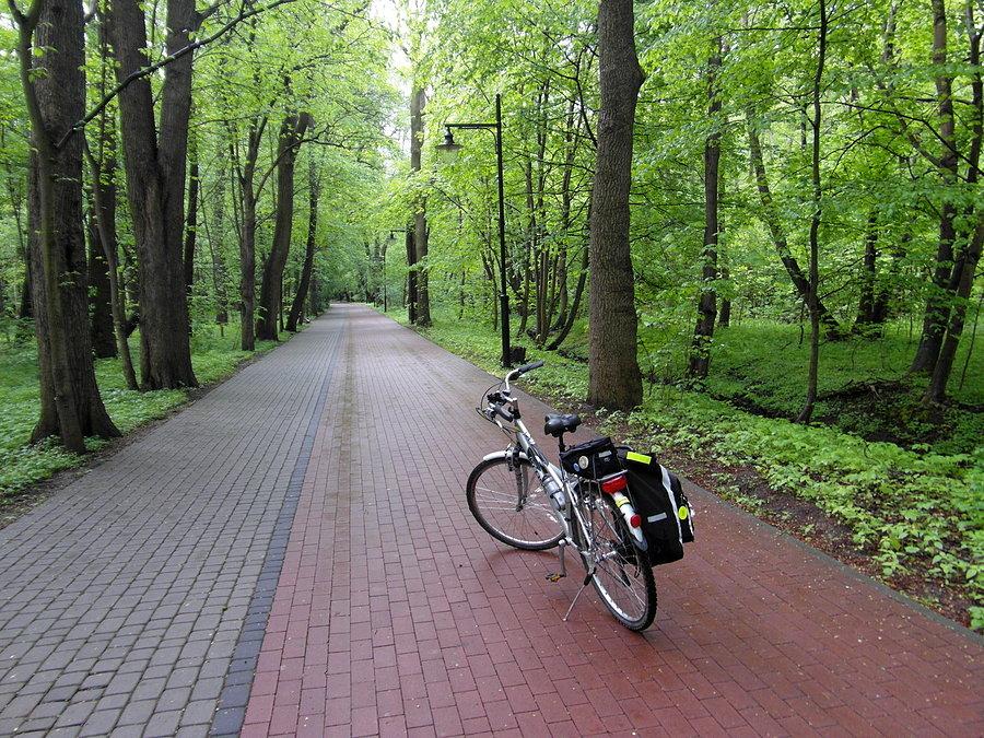 Kierunek Sopot- szlak nadmorski