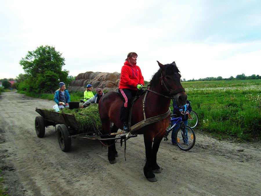 Rowerowa środa dla kobiet - Steblewo