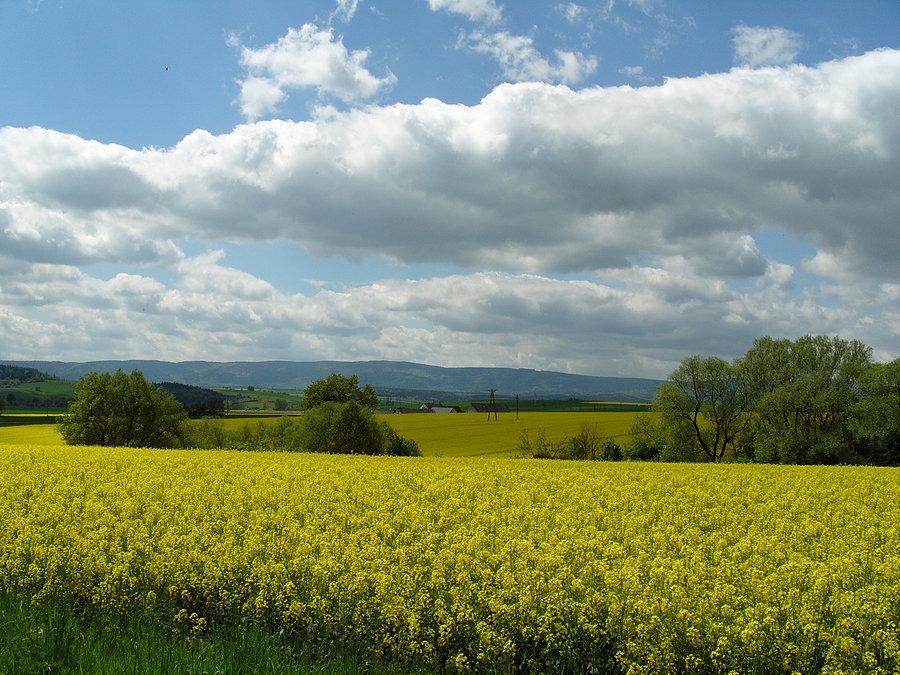 Dzień zapowiadał się pięknie, Czarna Góro przybywamy ;)
