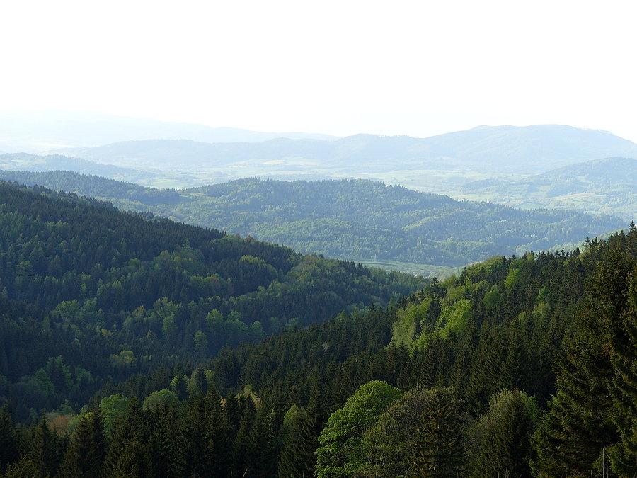 Małe spojrzenie obiektywem w dal