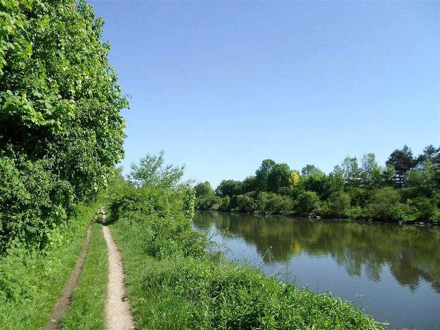 Droga do Nieporętu nad Kanałem