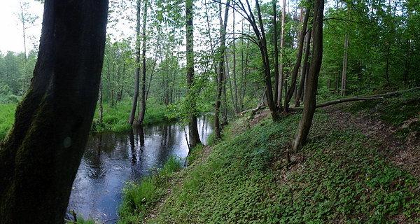 Bobry nad Rudką