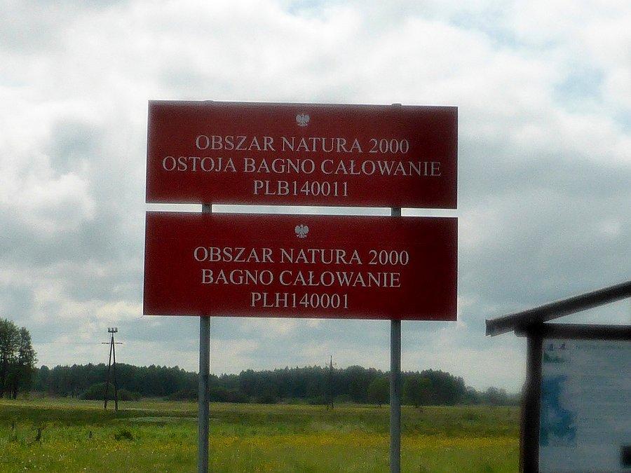 Ciekawe skąd ta nazwa?