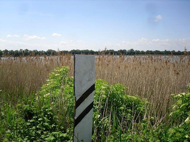 Widok z grobli na staw