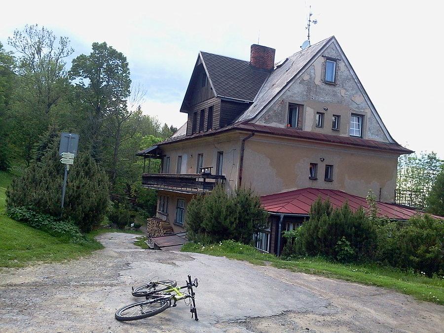 Koziniec