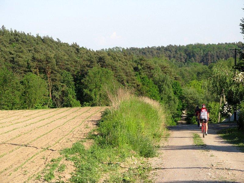 Katarzynki - miły widok przed nami