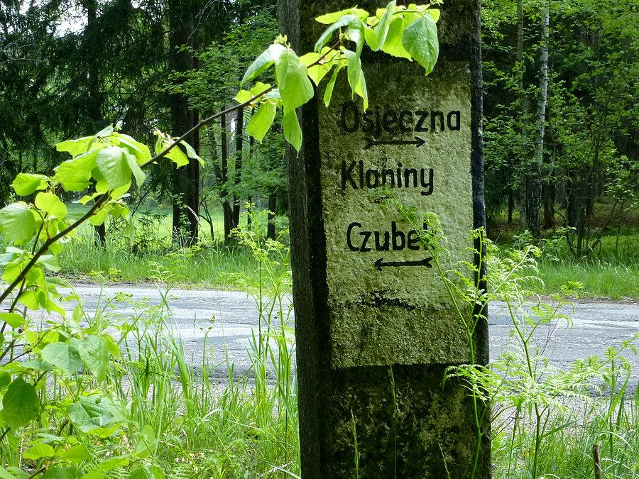Drogowskaz kusi