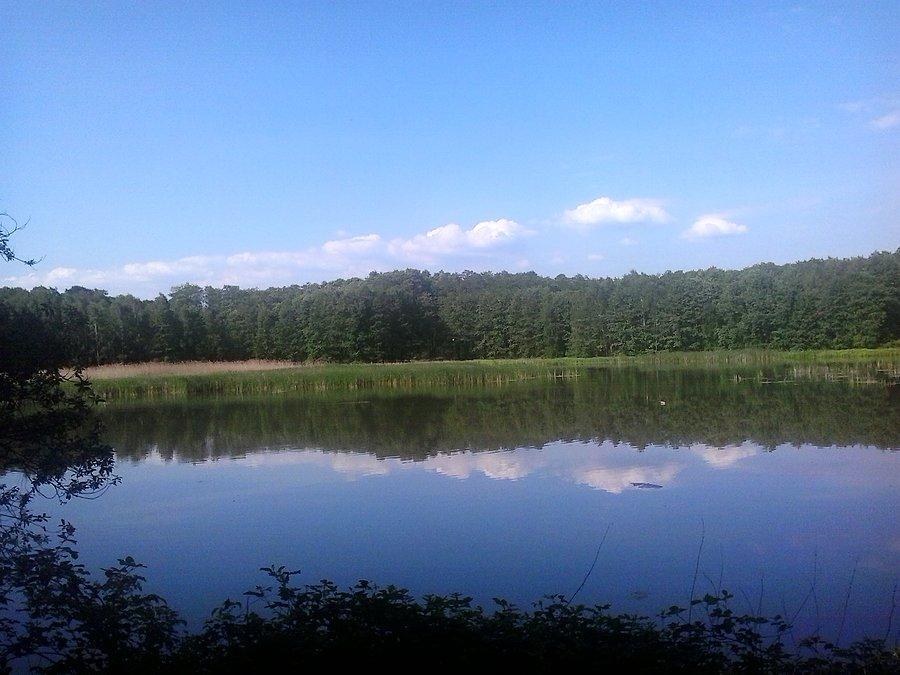 Staw Graniczny