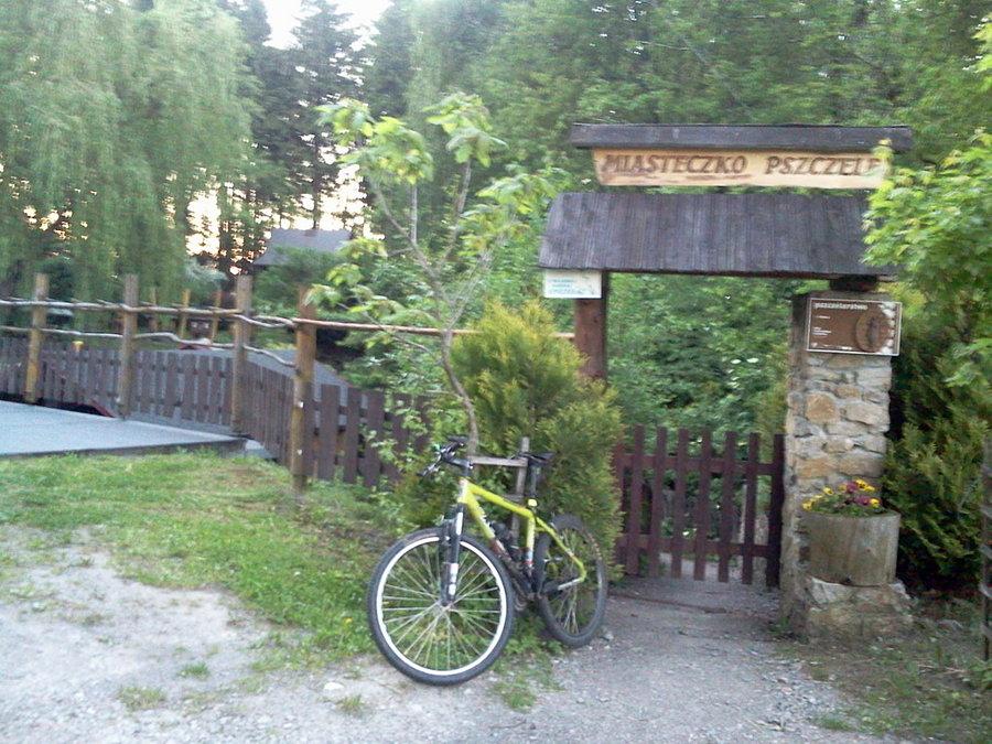 Pasieka na Mołczynie
