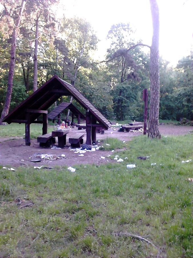 Sprzątania po sobie trzeba uczyć od dziecka