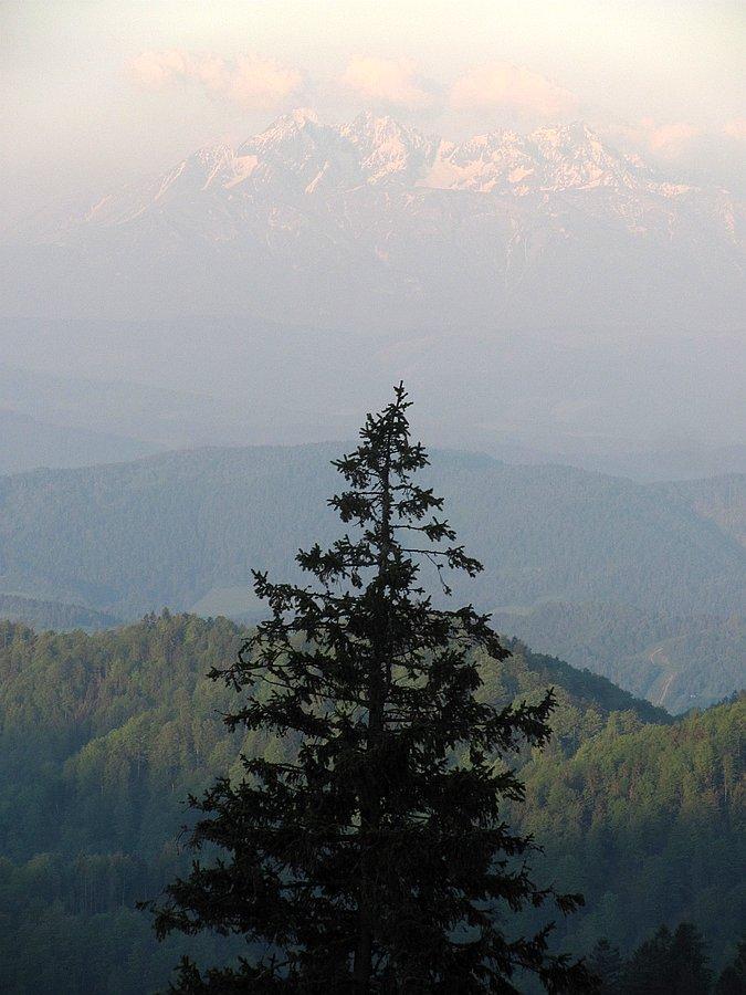 Niemrawe Tatry