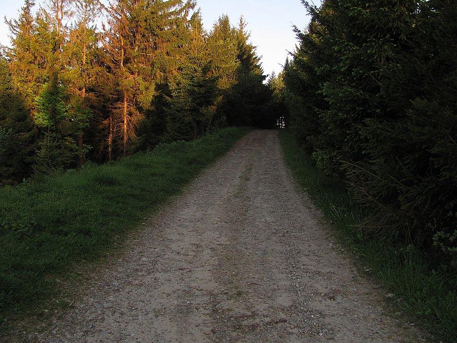 Dojazdówka do schroniska