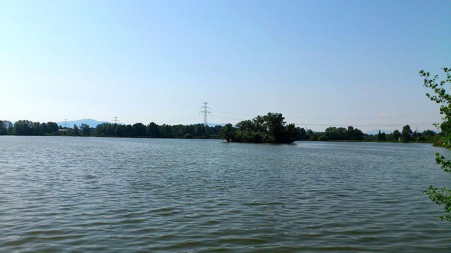 Staw Młyński