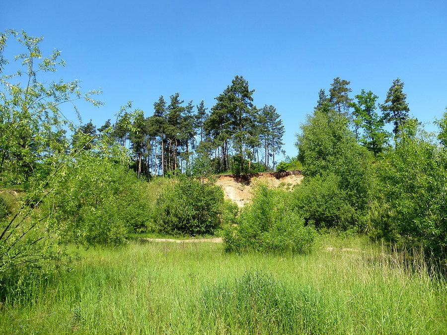 Widoki ulicy Pod Czubatką w Wyrzysku