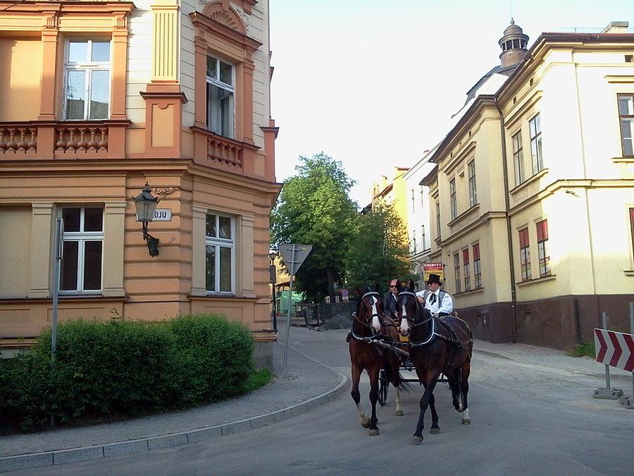 Bryczka na mieście