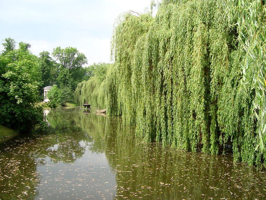 Park w Dobrzycy