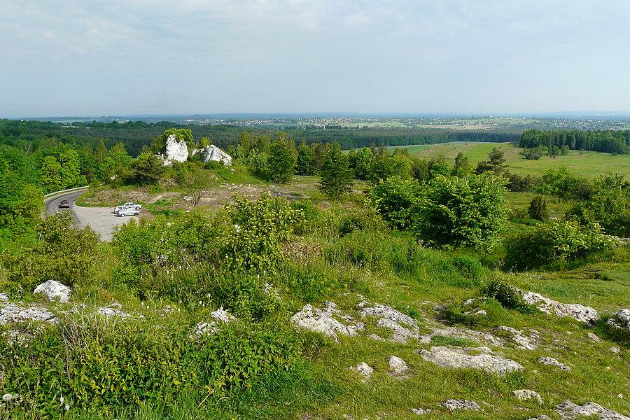 Niegowonice, widok w stronę Łaz