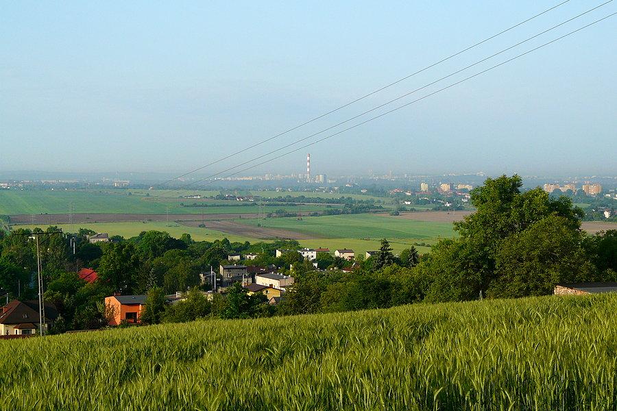 Kato z Góry Dorotki