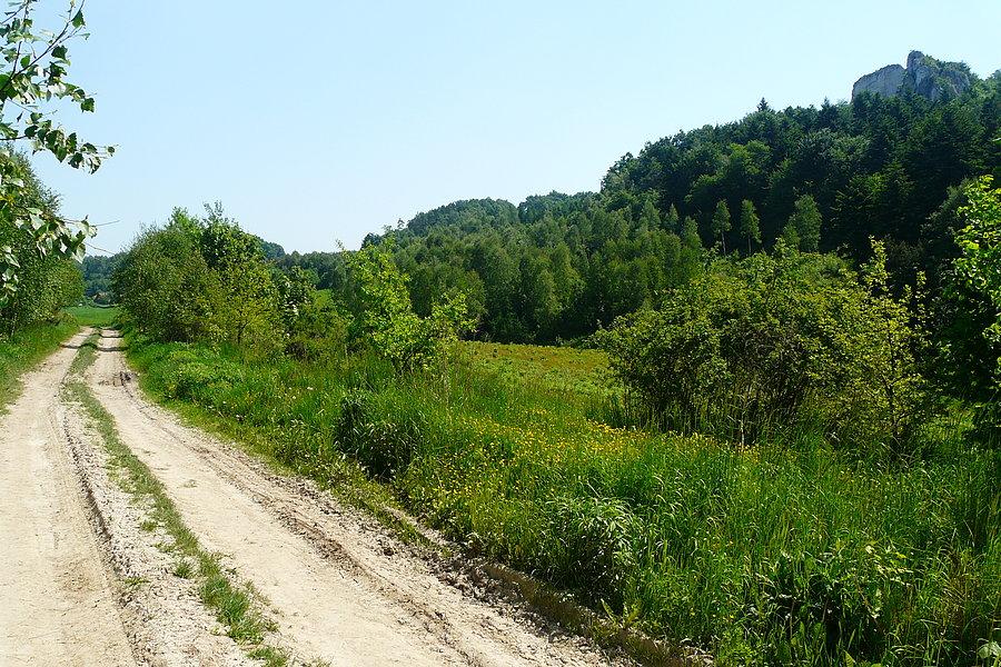 Szlak polny