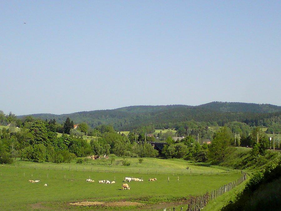 Jeszcze w pociągu