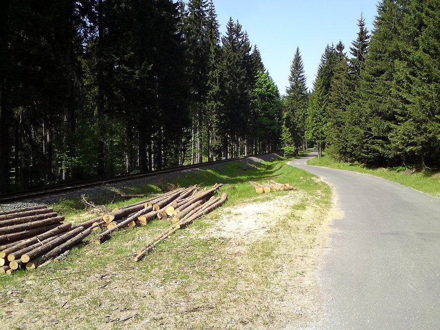 W drodze do Jakuszyc