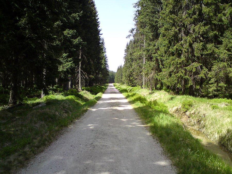 Orle - Jagnięcy Potok