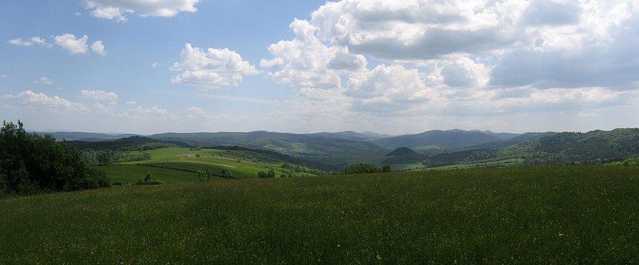 Widok z Chocenia