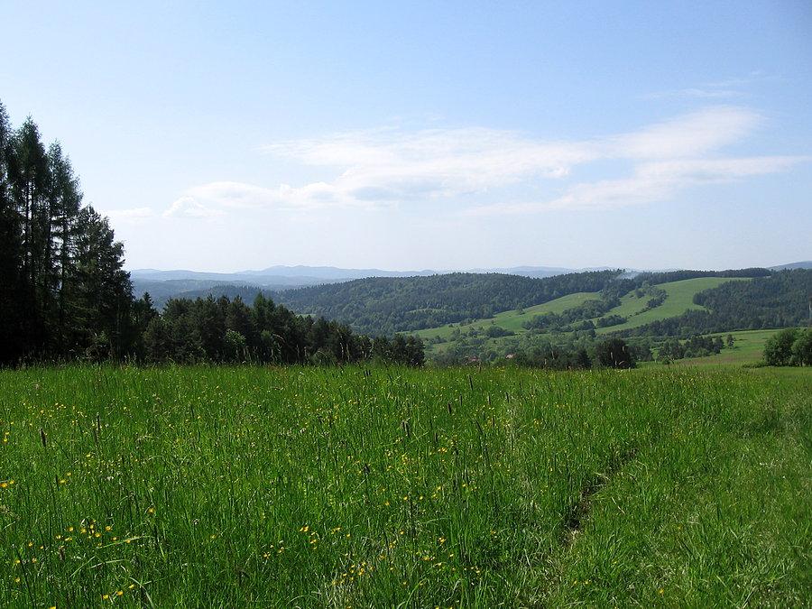 Pierwsza widokowa polanka