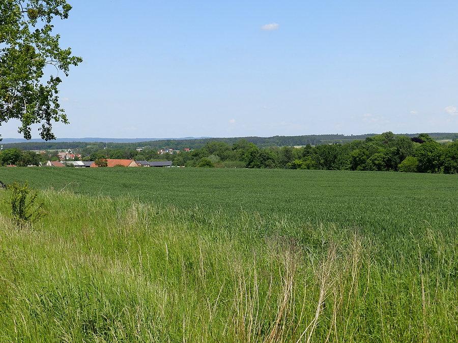 Widok na Zawonie