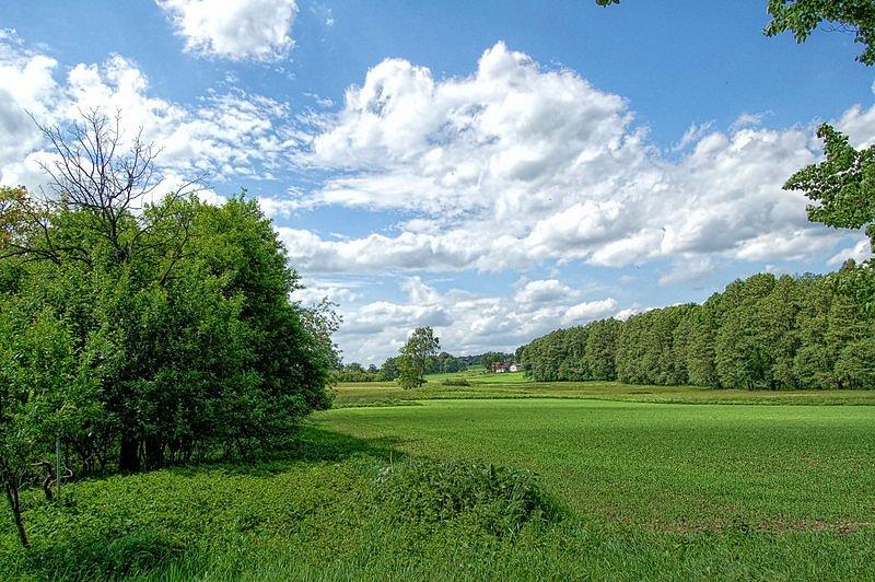 A archiwum - pod Mikołowem