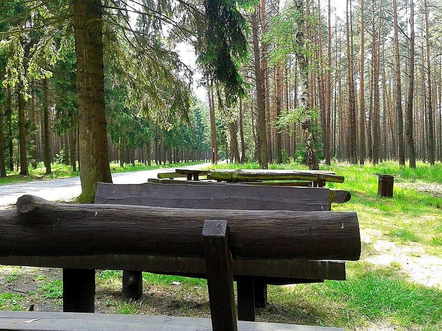 Miejsce na przerwę na trasie do Wielgowa