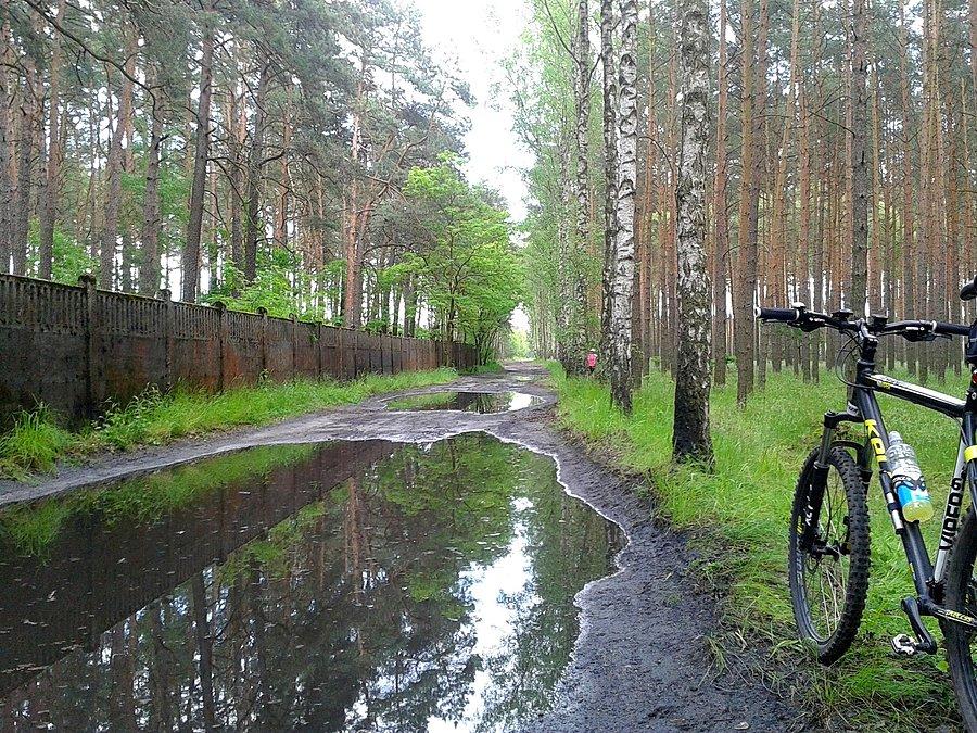 Droga do Niedżwiedzia ze Zdunowa